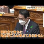 “ワクワク割”開始時期　岸田総理「直ちに始めず」(2022年4月14日)