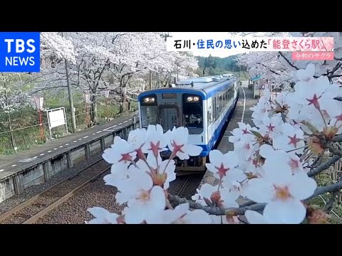 【令和のサクラ】住民の思い込めた「能登さくら駅」 石川・穴水町