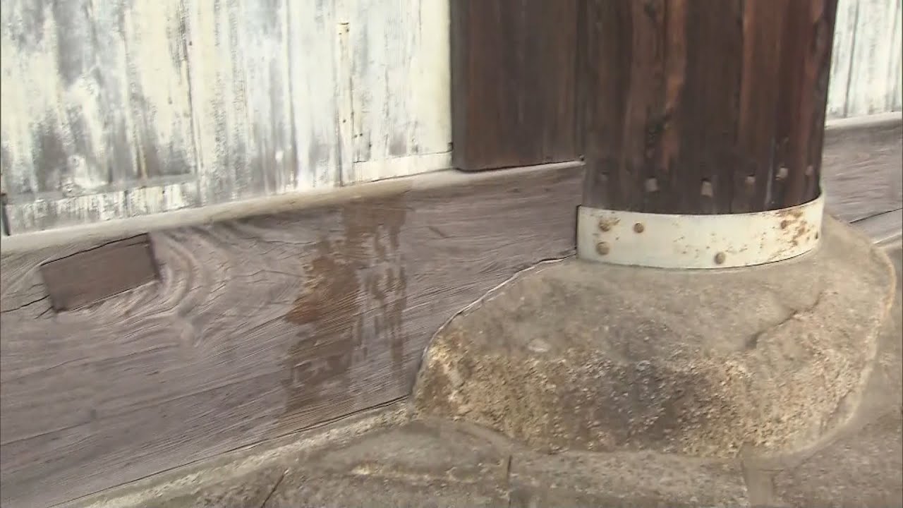 “再び”世界遺産・東大寺に『液体のようなものがかけられた痕』2015年にも同様の事件（2022年4月15日）