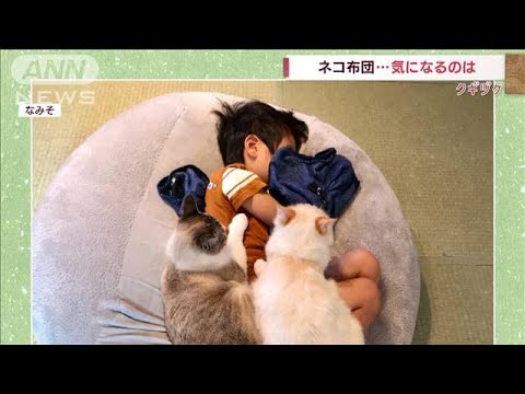 ネコが布団に？大好きな男の子と一緒に　でも気になるのは・・・(2022年4月15日)