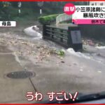 【今日の１日】小笠原諸島に台風１号直撃 東京は“冬”に逆戻り「夏野菜」に被害も…