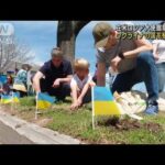 ウクライナの国花植え反戦訴え　在米ロシア大使館前(2022年4月17日)