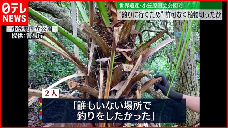 【書類送検】国立公園で許可なく木切る「釣りをしたかった」小笠原諸島･母島