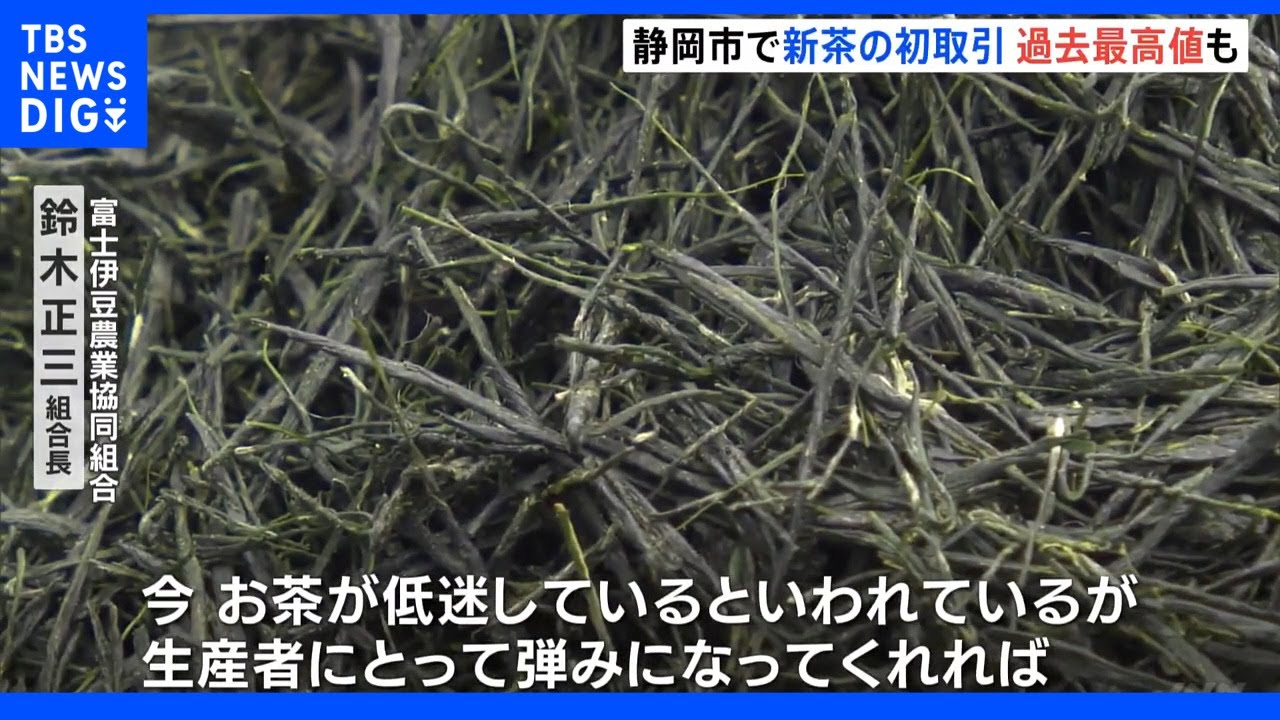 新茶シーズン到来 静岡市の茶市場で初取引 過去最高値も|TBS NEWS DIG