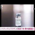 【速報】米ノババックス社の新型コロナワクチンの承認を了承　厚労省審議会(2022年4月18日)