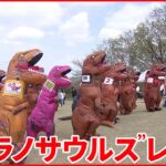 【ティラノサウルス】鳥取県に集結 レース開催