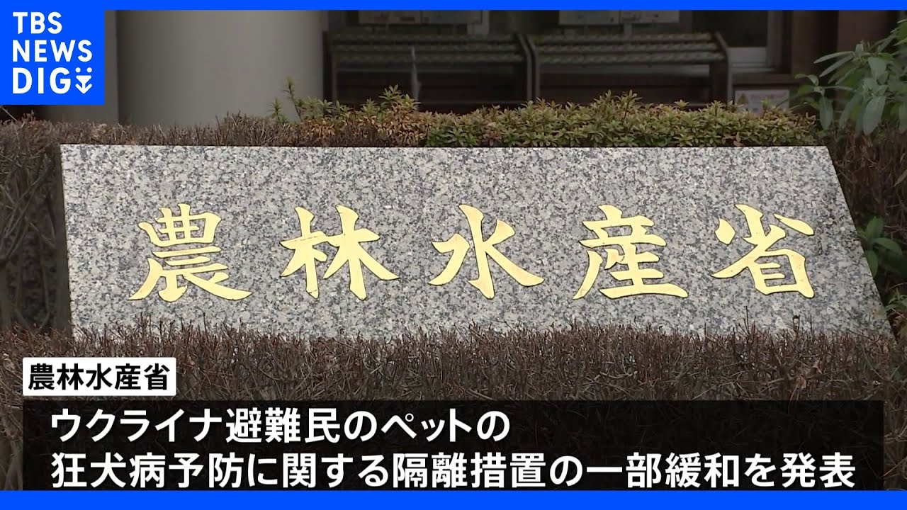 ウクライナ避難民 ペットと暮らしやすく「特別ルール」適用へ|TBS NEWS DIG