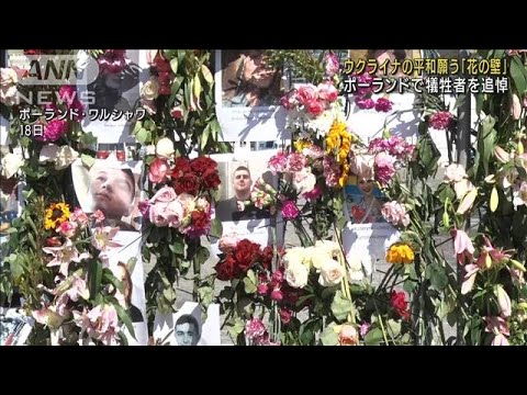 ウクライナの平和を願う「花の壁」　ポーランドで犠牲者を追悼　(2022年4月19日)