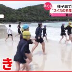 【間もなく連休】密を避けて楽しむ人 種子島では海開き 早くも「夏の便り」届く