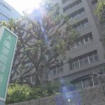 強盗殺人事件で１９歳少年の“逆送”を決定　大阪家裁　寝屋川市で２０歳の男性が死亡（2022年4月20日）