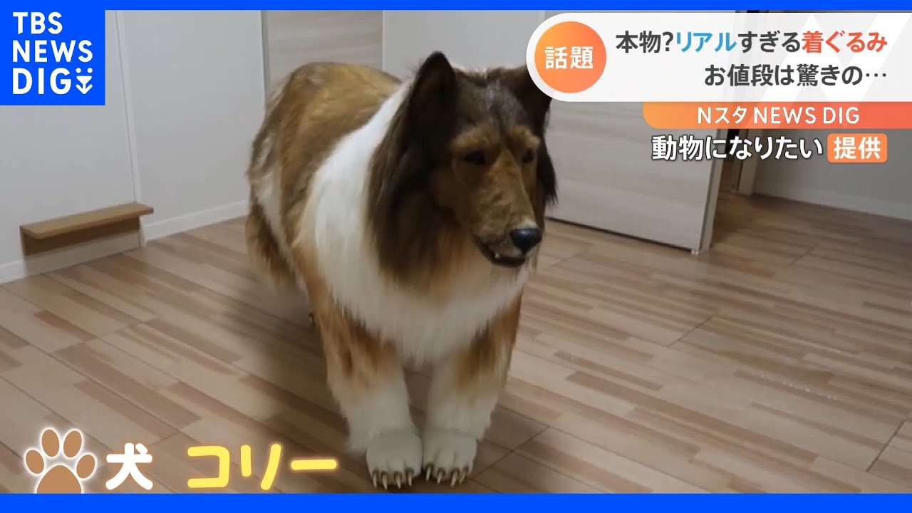 リアル過ぎる着ぐるみ　驚きの制作費【Ｎスタ】｜TBS&nbsp;NEWS&nbsp;DIG