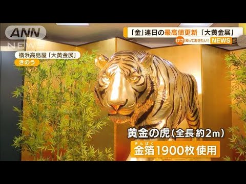 「金」連日の最高値を更新　大黄金展に“黄金の虎”(2022年4月21日)