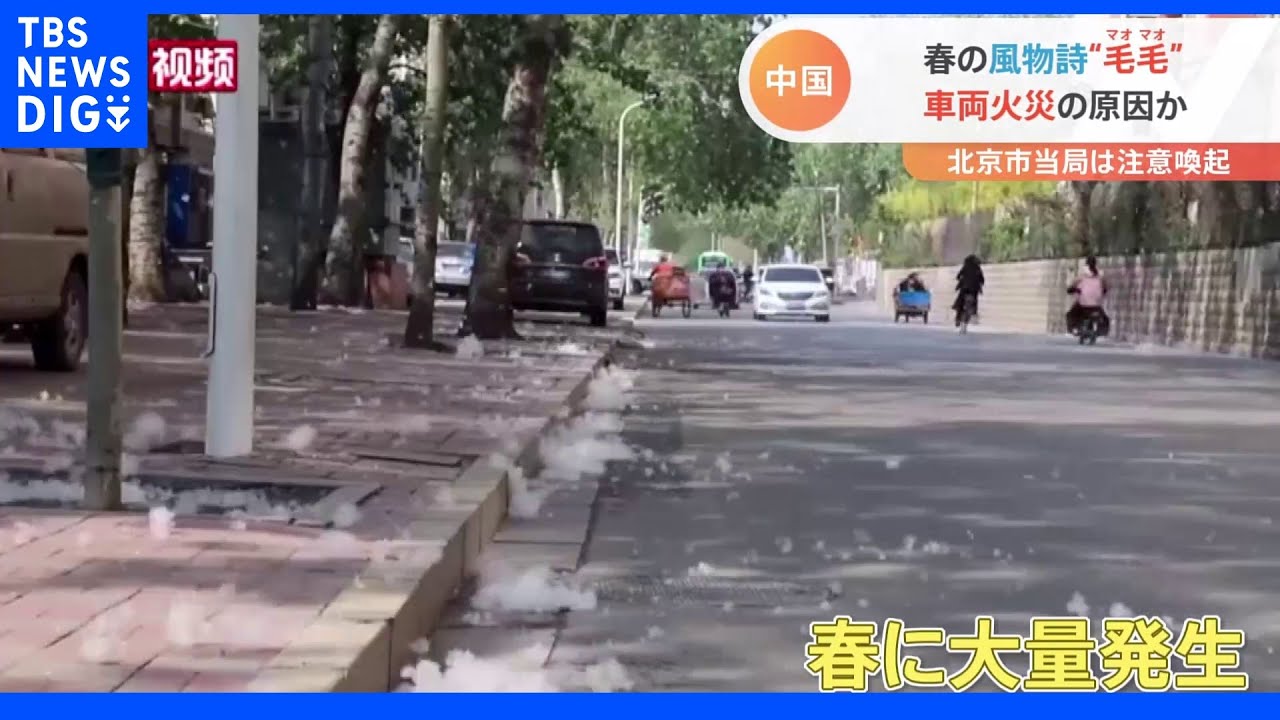 “春の風物詩”で火災? 現場に残った“毛毛”とは|TBS NEWS DIG