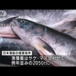 日ロのサケ・マス漁交渉妥結　来月初旬に操業開始(2022年4月23日)