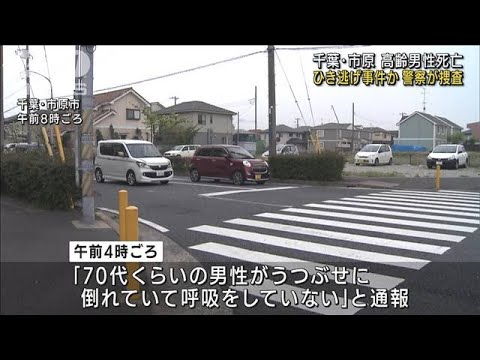 路上で倒れていた高齢男性が死亡　ひき逃げか　千葉(2022年4月23日)