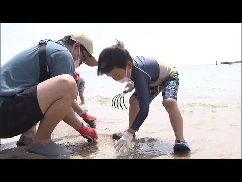 神戸・須磨海岸で「潮干狩り」始まる…３年ぶりの本格的な開催　６月５日まで（2022年4月23日）
