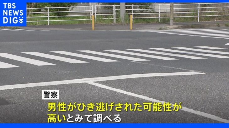 骨盤を骨折…交差点で男性死亡 千葉・市原市 ひき逃げの可能性が高いとみて調べ｜TBS NEWS DIG