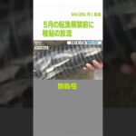 稚鮎の放流　和歌山の鮎漁解禁は５月２１日　体長１０ｃｍで放流され解禁時２０ｃｍに（2022年4月25日）#Shorts #稚鮎