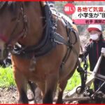 【気温上昇】東京今年６度目の夏日 小学生が馬を使った「田起こし」体験も