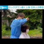 隔離状態の上海で“青空美容室” 日本人美容師に希望者が殺到(2022年4月26日)