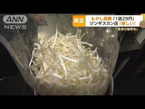 “食卓の優等生”もやし値上げ「1袋29円」・・・「原料高騰×生産コスト増」で“Wパンチ”(2022年4月19日)