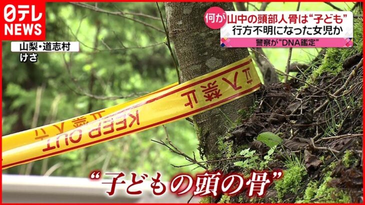 【山梨･道志村】発見した頭部人骨は“子ども” 行方不明の女児か