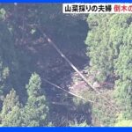 山菜採りの夫婦 倒木の下敷きで死亡 兵庫・多可町｜TBS NEWS DIG