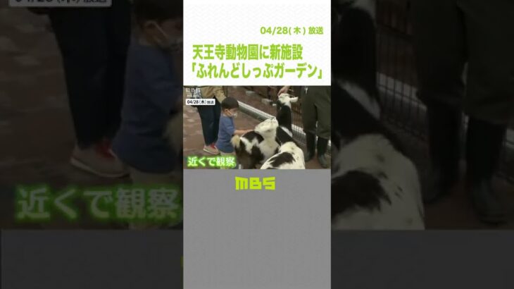 ふれあえる新施設！天王寺動物園「ふれんどしっぷガーデン」飼育員常駐でストレスケア（2022年4月27日）#Shorts#天王寺動物園#ふれんどしっぷガーデン