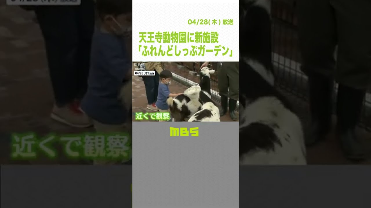ふれあえる新施設！天王寺動物園「ふれんどしっぷガーデン」飼育員常駐でストレスケア（2022年4月27日）#Shorts#天王寺動物園#ふれんどしっぷガーデン