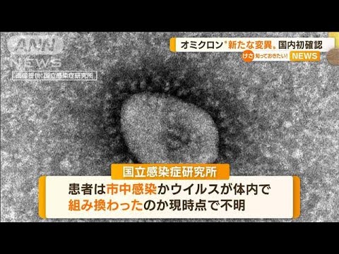 オミクロン“新たな変異”国内初確認・・・患者は、発症前2週間以内の海外滞在歴なし(2022年4月29日)