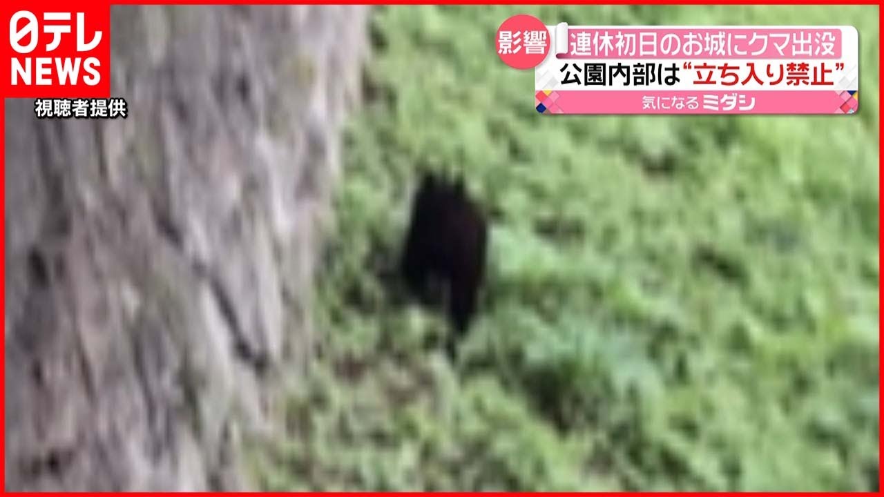 【クマ出没】連休初日…一時は立ち入り禁止も 福島・会津若松市