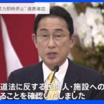 ロシアの“武力即時停止”へ連携を確認 岸田総理、インドネシアのジョコ大統領と会談｜TBS NEWS DIG