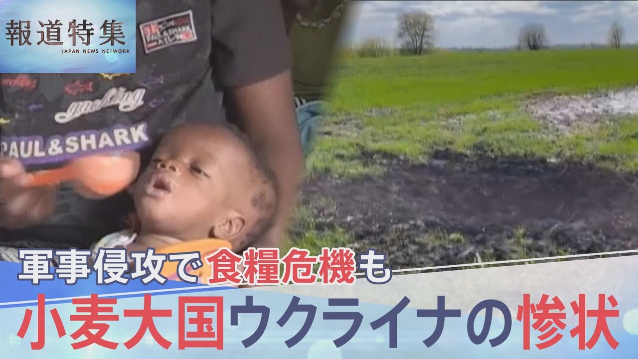 “小麦大国”ウクライナへの軍事侵攻がもたらす　深刻な世界食糧危機【報道特集】｜TBS&nbsp;NEWS&nbsp;DIG