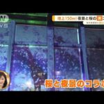 東京タワーで“夜桜”！？地上150mで夜景とコラボ【あらいーな】(2022年4月15日)