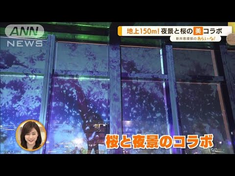 東京タワーで“夜桜”！？地上150mで夜景とコラボ【あらいーな】(2022年4月15日)