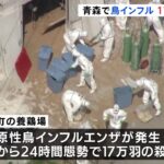 青森・横浜町で鳥インフル 17万羽殺処分