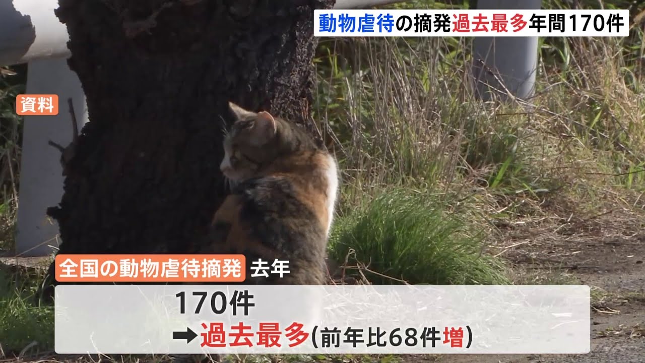 犬や猫など動物の虐待事件 去年170件摘発 過去最多