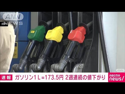 【速報】ガソリン価格173.5円　前週から0.5円下がる　2週連続の値下がり(2022年4月20日)