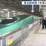 東北新幹線 1か月ぶりに全線再開　当面は8割から9割の本数で運行