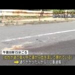 女性が路上で死亡　ひき逃げで捜査　東京・北区(2022年4月7日)
