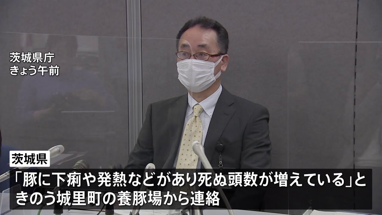 茨城・城里町で豚熱発生 県内で2例目