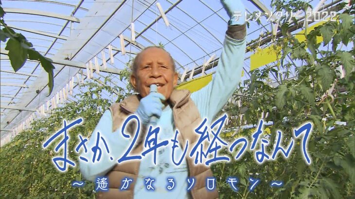 まさか、2年も経つなんて～遥かなるソロモン【テレメンタリー2022】【メ～テレ】