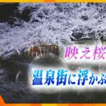 【映え桜2022】湯けむりにゆらめく春の彩り“幻想夜桜”～兵庫・城崎温泉～
