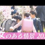 桜のある情景2022(2022年4月8日)