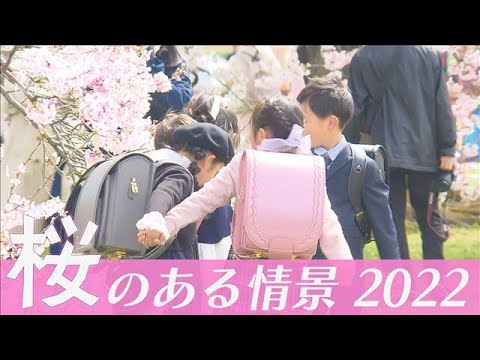 桜のある情景2022(2022年4月8日)