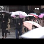 冷たい雨で冬に逆戻り　東京は2月並みの寒さに(2022年4月4日)