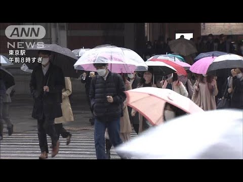 冷たい雨で冬に逆戻り　東京は2月並みの寒さに(2022年4月4日)