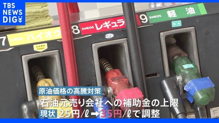 ガソリン補助金 最大25円から35円に引き上げで調整 目標は全国平均172円から168円程度に引き下げ｜TBS NEWS DIG