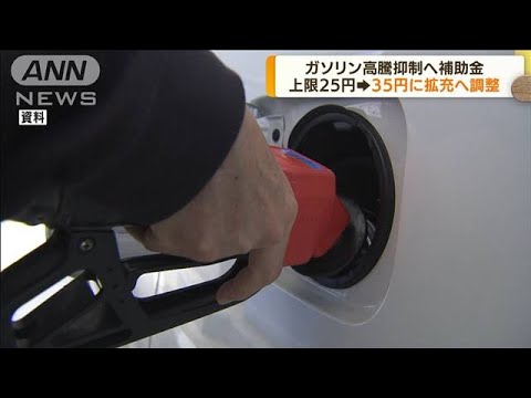 ガソリン高騰抑制へ補助金　上限25円→35円に調整(2022年4月22日)
