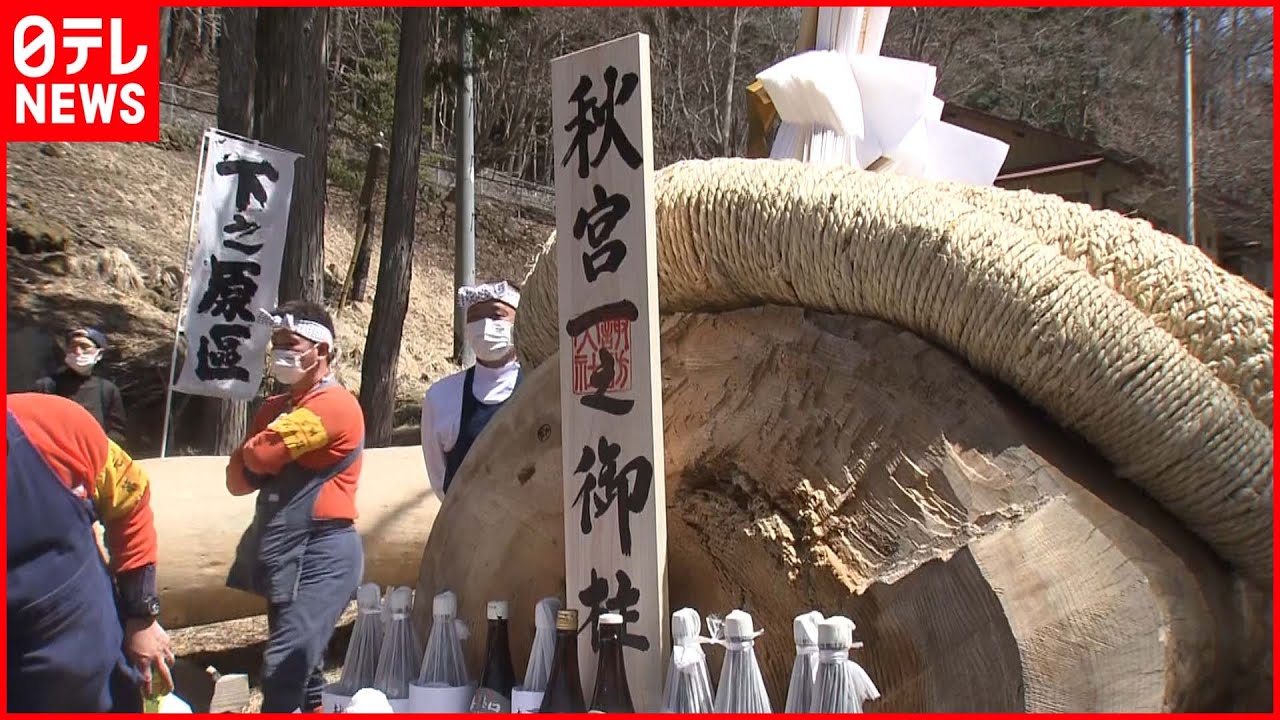 【諏訪大社】「御柱祭」　下社山出し2日目、御柱8本すべて終着地点に